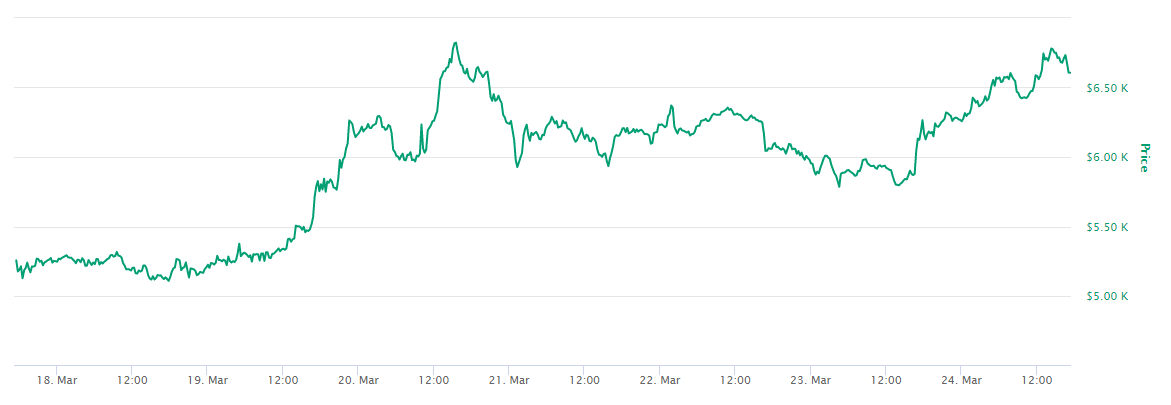 bitcoin بیت کوین سرمایهگذار سازمانی نهاد بازار سهام Stock