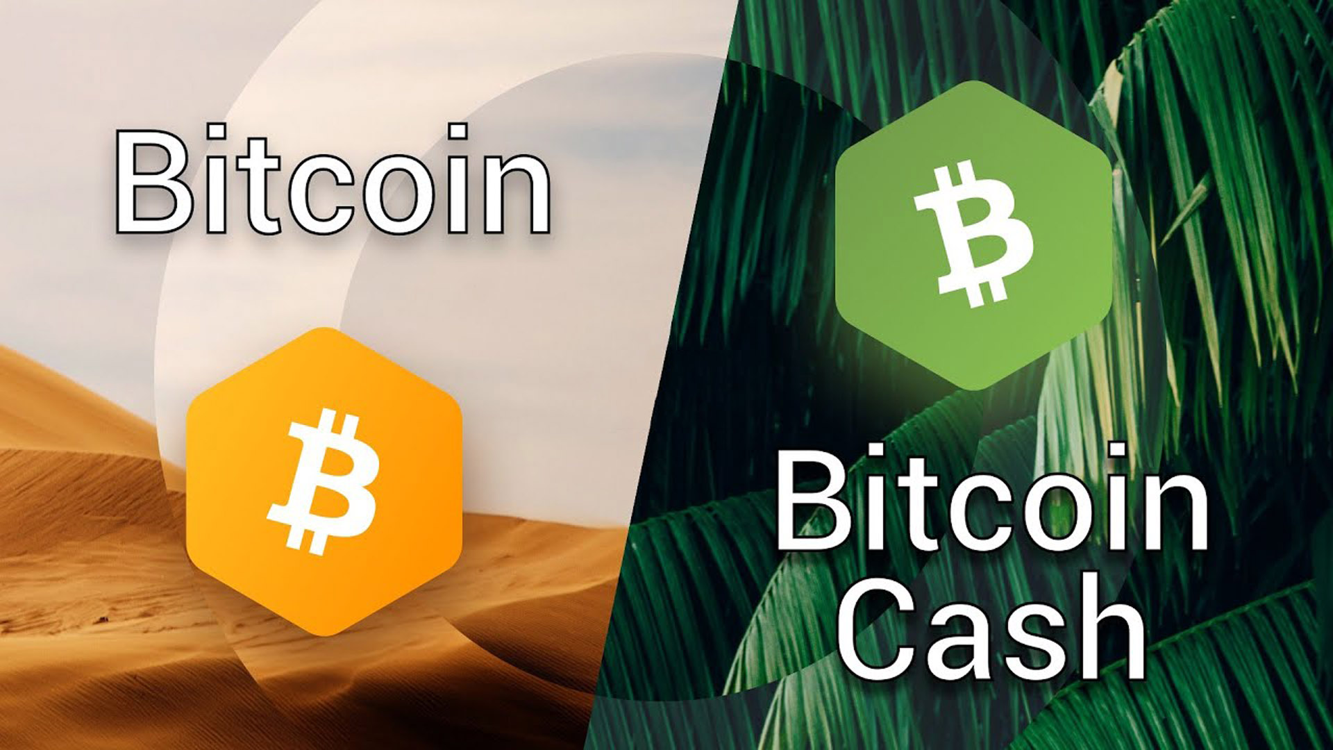 بیت کوین‌کش BCH BTC