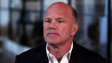 مایک نووگراتز Mike Novogratz