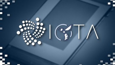 هورنت آیوتا IOTA