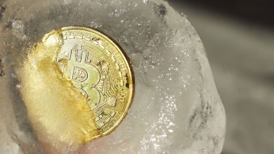 رمزارزهای ثانویه بازار رمزارزها بیت کوین سطح تسلط BTC