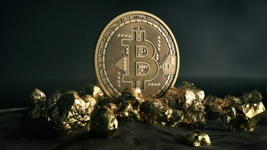 شباهت نمودار قیمت بیت کوین و طلا در دهه‌ی 70 میلادی