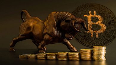 بیت کوین تغییرات قیمت BTC bitcoin