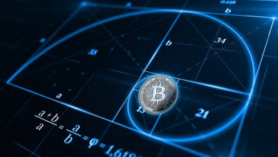 تکرار شگفت‌انگیز چرخه‌های تغییرات قیمت بیت کوین