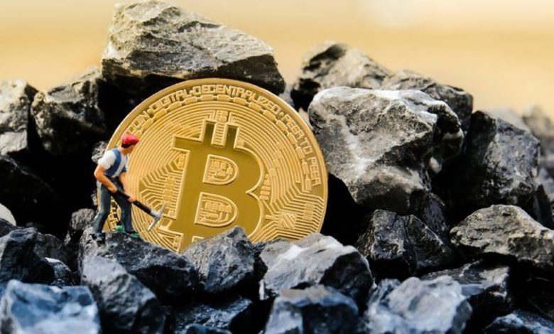 ماینرها نسبت به هولدرها درآمد بیشتری دارند