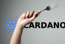 کاردانو Cardano هاردفورک مری Mary