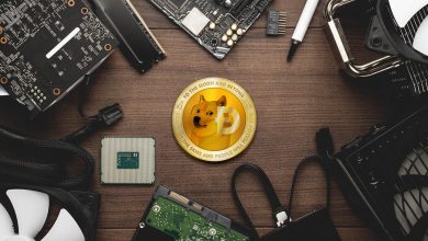 نیواگ newegg داژکوین