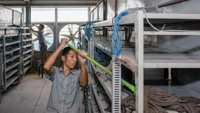ماینینگ رمزارز استخراج بیت کوین چین China قانون‌گذاری