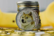 مشارکت ایلان ماسک در توسعه‌ی دوج کوین
