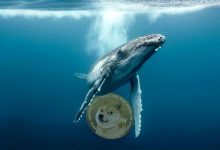 Dogecoin داژکوین دوج‌کوین ایلان ماسک