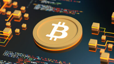 رئیس جمهور السالوادور بیت کوین BTC